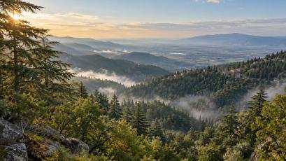 Slinfah: The Natural Jewel of Latakia’s Mountains